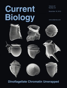 Current_Biology_2012_CoverImage